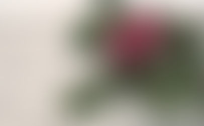 It's CHRISTmas Eve. What Would Jesus Do? Publish the ERA