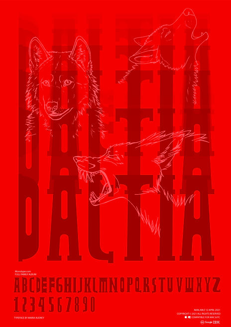 daltia poster-01.jpg