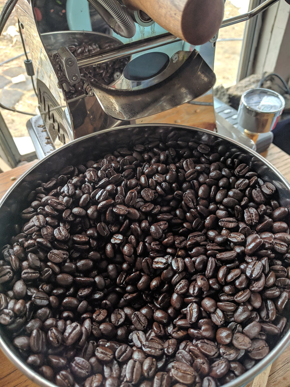 Freshly roasted beans