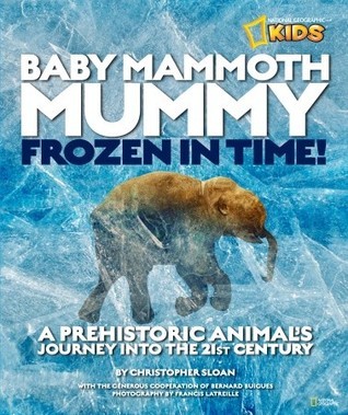 Baby Mammoth Mummy book cover