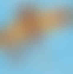 Winged Girl of Knossos book cover