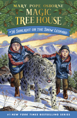 Sunlight on the Snow Leopard book cover