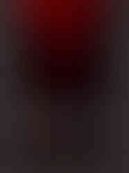 Dracula Novel Book Cover