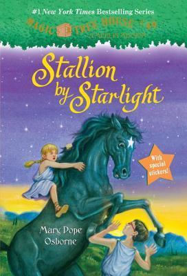 Stallion by Starlight book cover