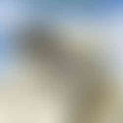 Where is the Parthenon? book cover