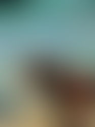 Wir machen Hundeschule, anderes.