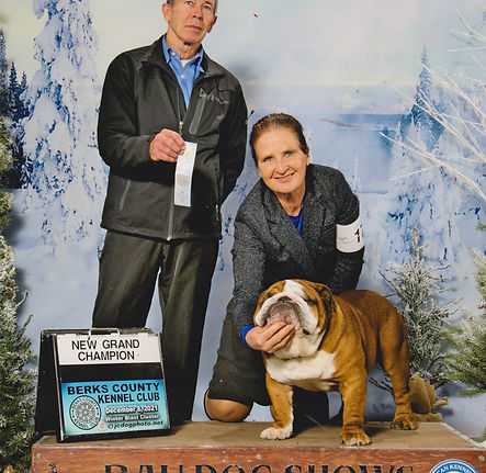 Rudy new GCH BCKC.jpg