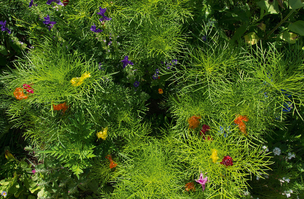 fake_flowers_2_web