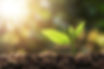 istockphoto_918463868.jpg
