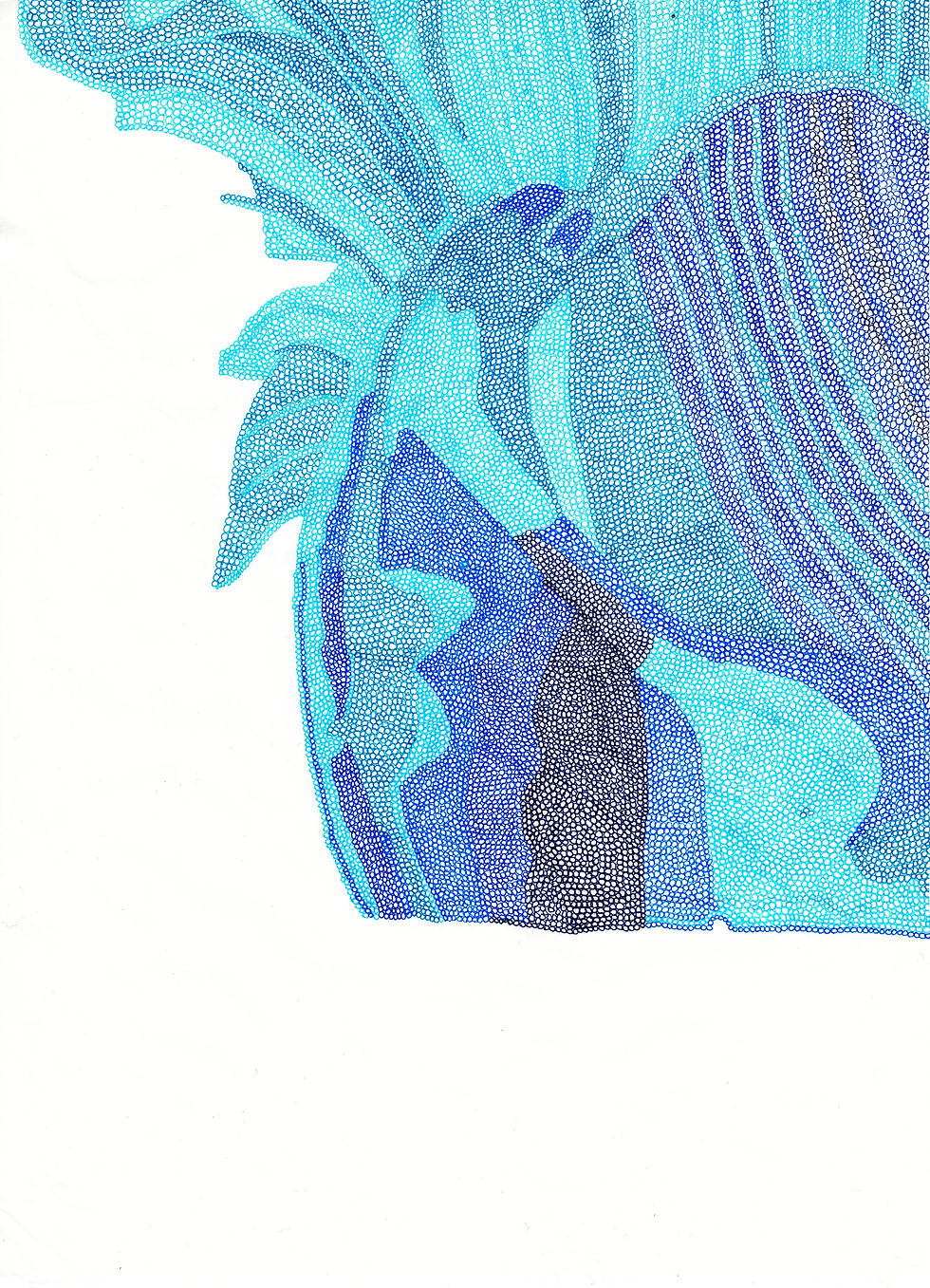 jellyfish_3