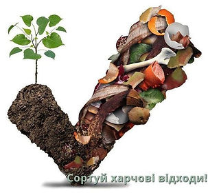 Чобіток.jpg