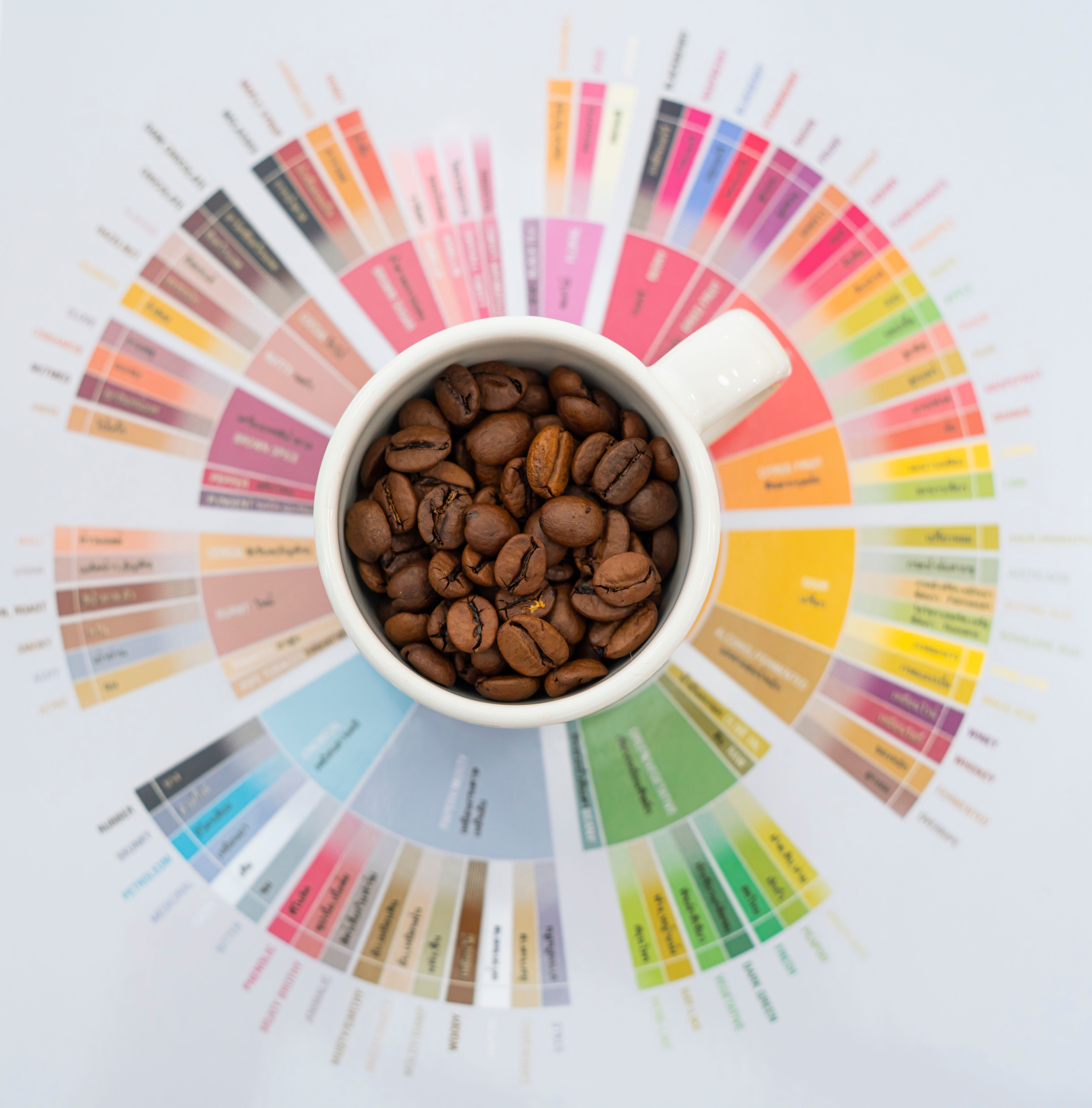 Treino Sensorial para Café