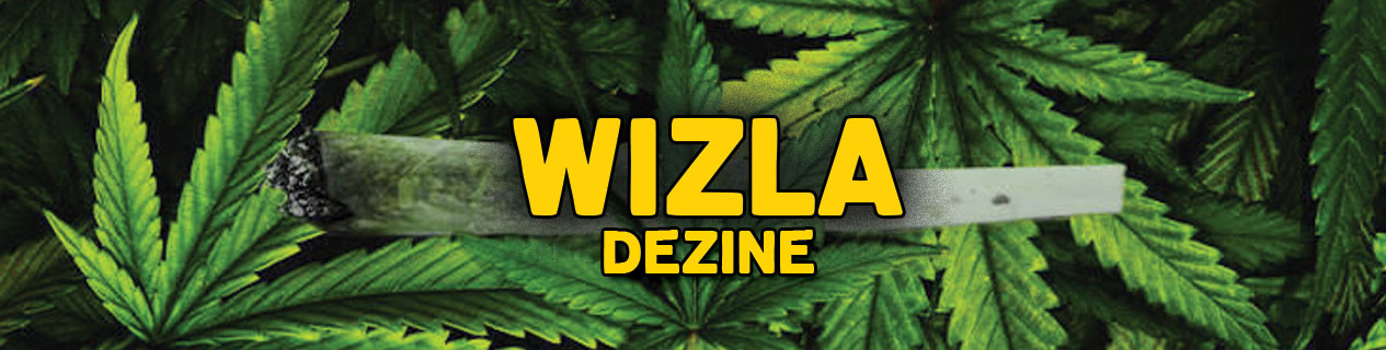 Wizla-dezine.jpg
