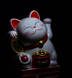 www.maxpixel.net-Traditional-Fortune-Goo