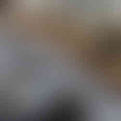 14er Bio Öle aus dem Marchfeld