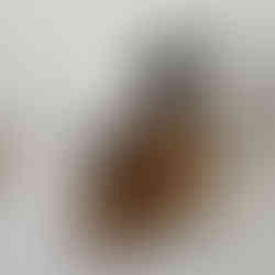 DIY reinigungsmittel rezept