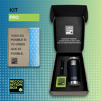 KIT PRO 2.png