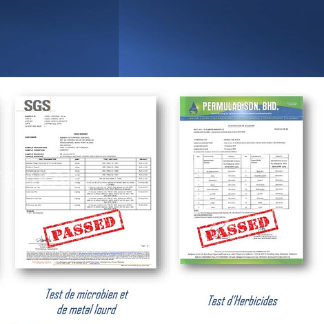 Capture alphav certificat.JPG