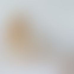 OW BYE TORIデビュー♪