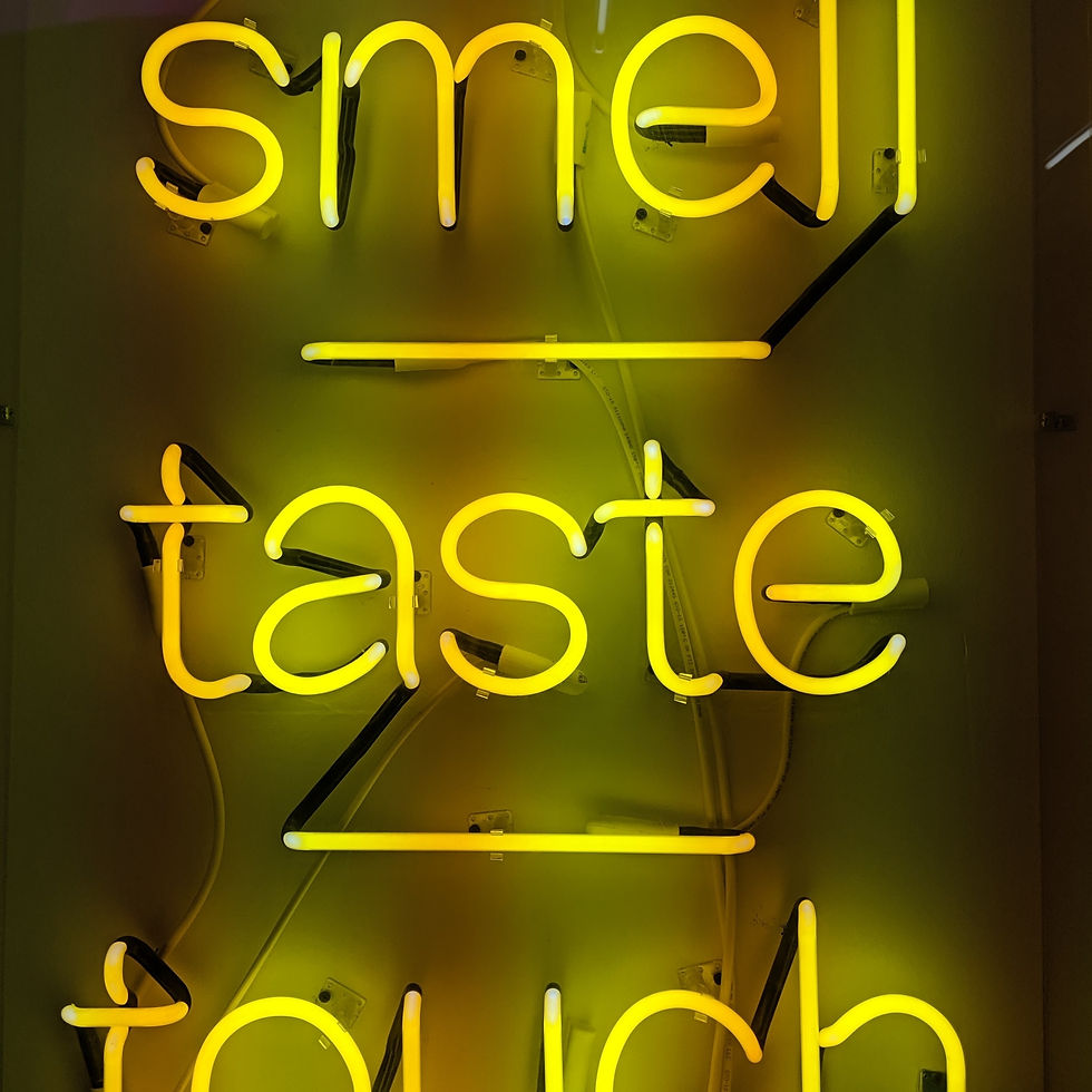 Undiagnosed autistic adults may have strong preferences or sensitivities to light, sound, textures, smells, or tastes.