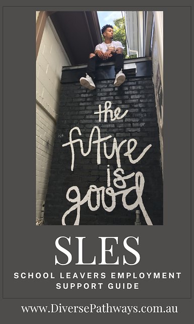 School Leavers Employment Support GUIDE for autistic teens and young adults