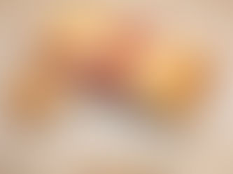 Raspberry Cream Cheese Breakfast Braid Homemade Pastry