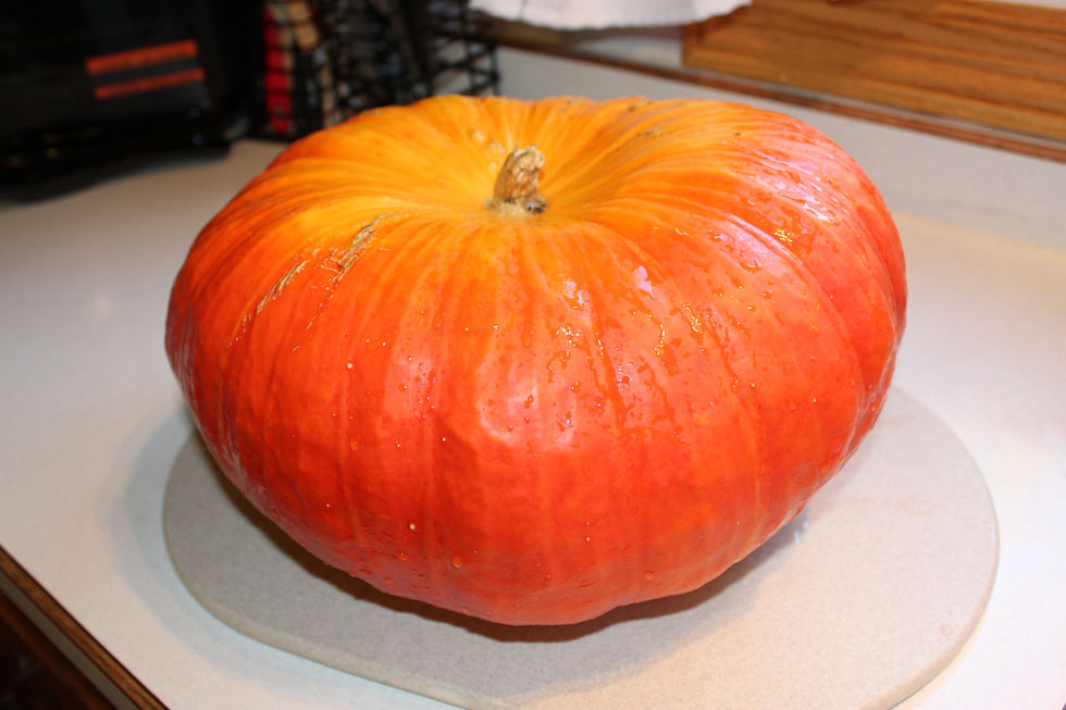 Cinderella's Carriage Pumpkin