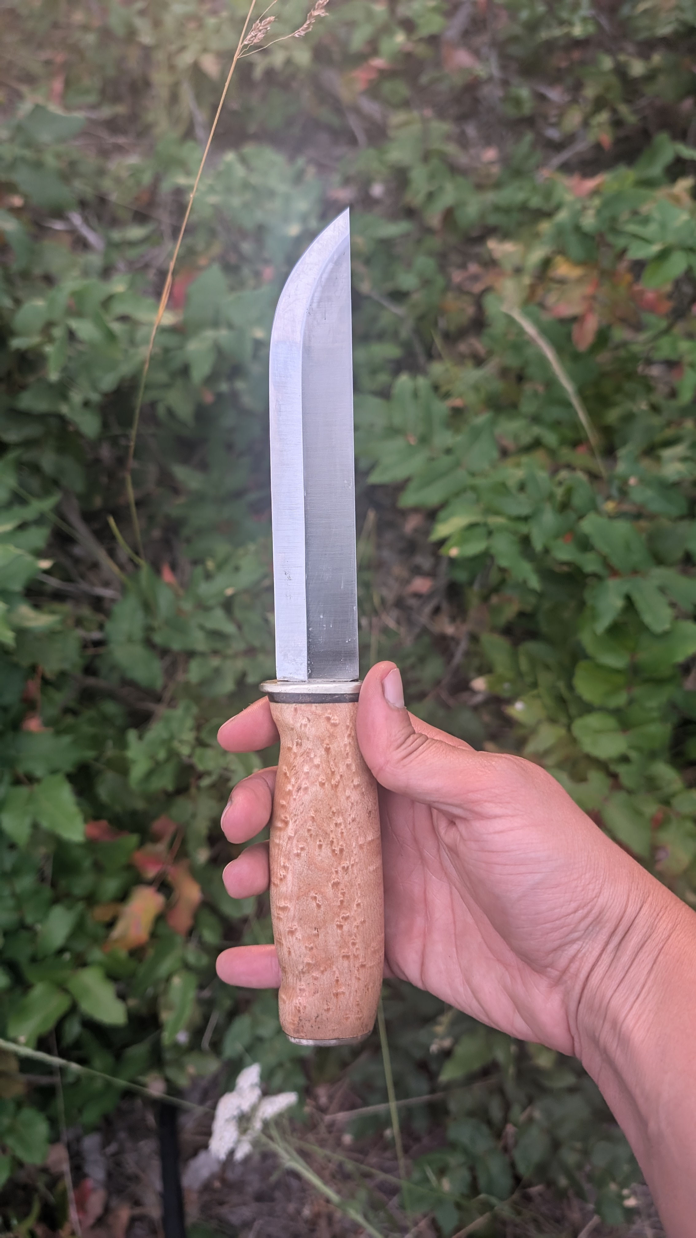 Luxury Bushcrafter - Stainless Steel Leuku with Birdseye Maple