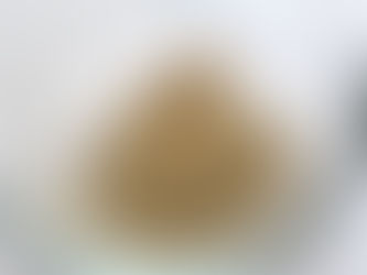 Homemade poultry seasoning mix