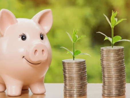 Capitalismo Evolutivo: A Nova Economia Regenerativa