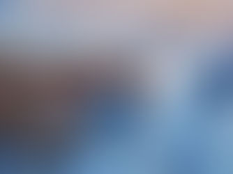 InvestmentLink™ | Automated bank statements and living expenses