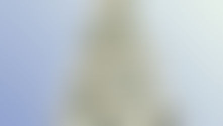 Flocked Alaskan Christmas Tree