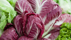 Radicchio Lettuce - 12 Count (Avg 10 Lb Case)