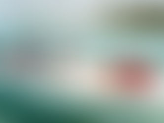 Best Center Console for Florida Sandbar Days and Offshore Runs