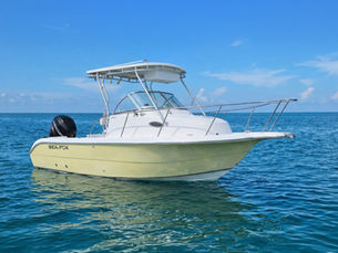 Why Sea Fox Can Be the Better Buy (If You Know What You’re Looking At)