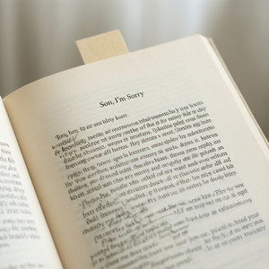 Book Overview - Son, I'm Sorry