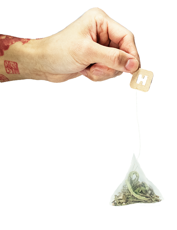 pyramid tea bag_edited