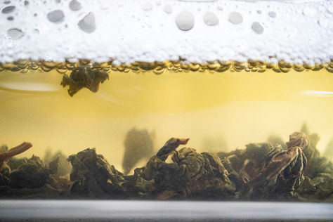 Mitsudashi, cold brew tea