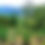 Thumbnail: Taiwan Verdure
