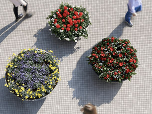 Macetas Grandes y Modernas: Elegancia y Estilo en tu Jardín