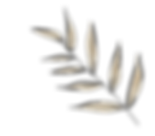 kk7m.png
