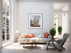 water edge 10_edited-full