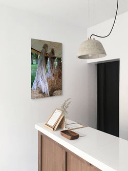 batch 2 hay 4_edited-full (4)