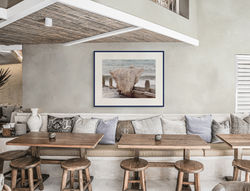 the sea moth-full (1)