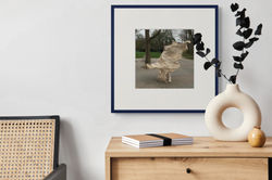 moth 1_edited-full (3)