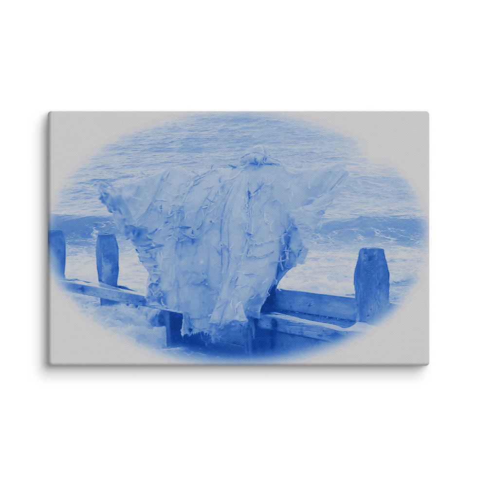 Thumbnail: The Sea Moth, Blue Canvas