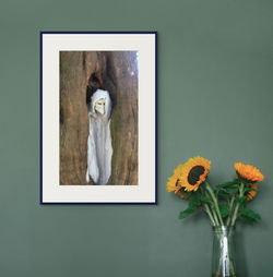 andy tree 1-full (10)