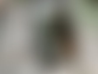 The Blank Street x Melissa’s Wardrobe Collaboration: A Match(a) Made in Heaven