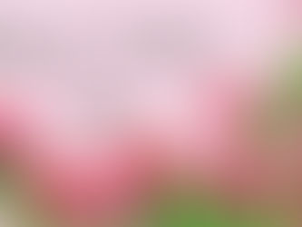 HOMEWARD BOUND - MAY 2021