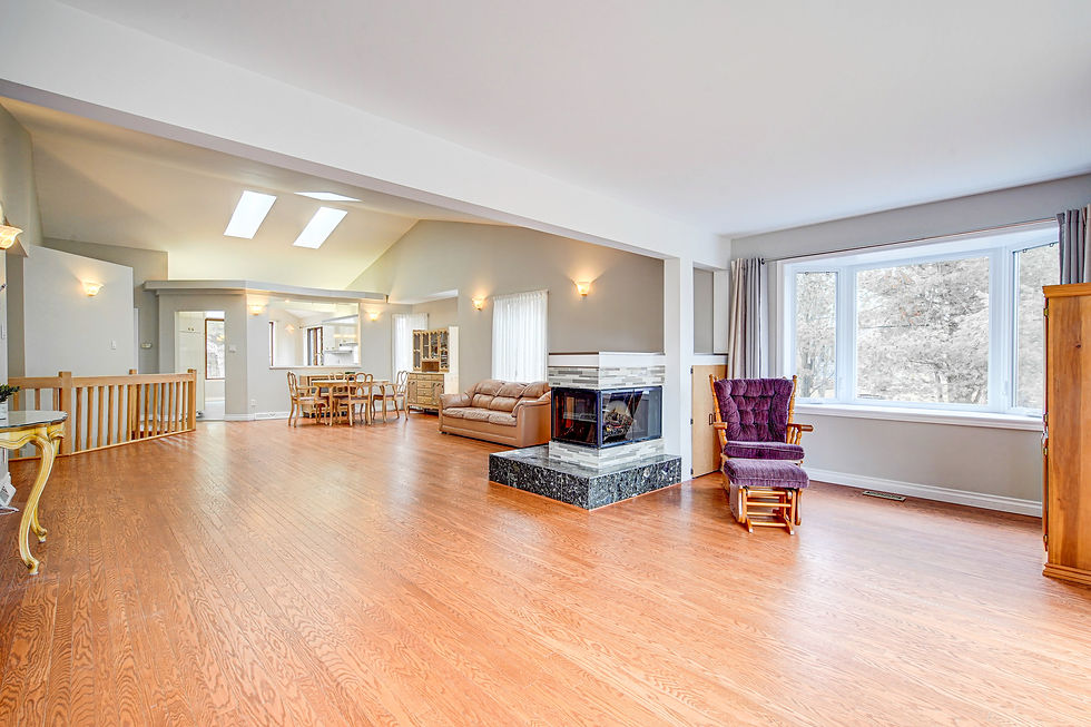 Living room + Dining room
